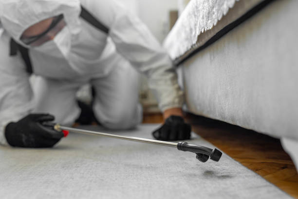 Professional Bed Bug Control technician working in Lauderdale County County, MS